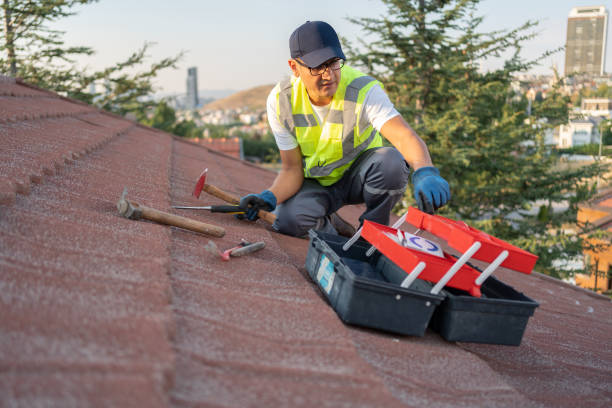 Best Historical Building Siding Restoration  in Lusk, WY